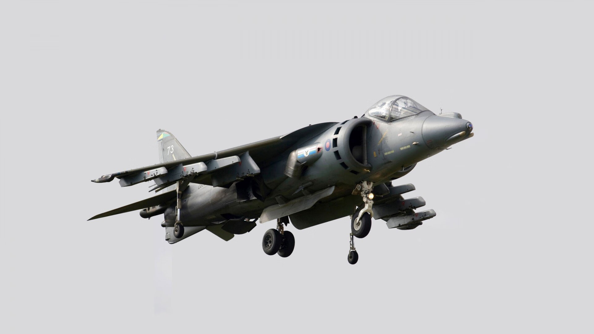 “本土教练培养计划取得显著成效”,教练员培养体系