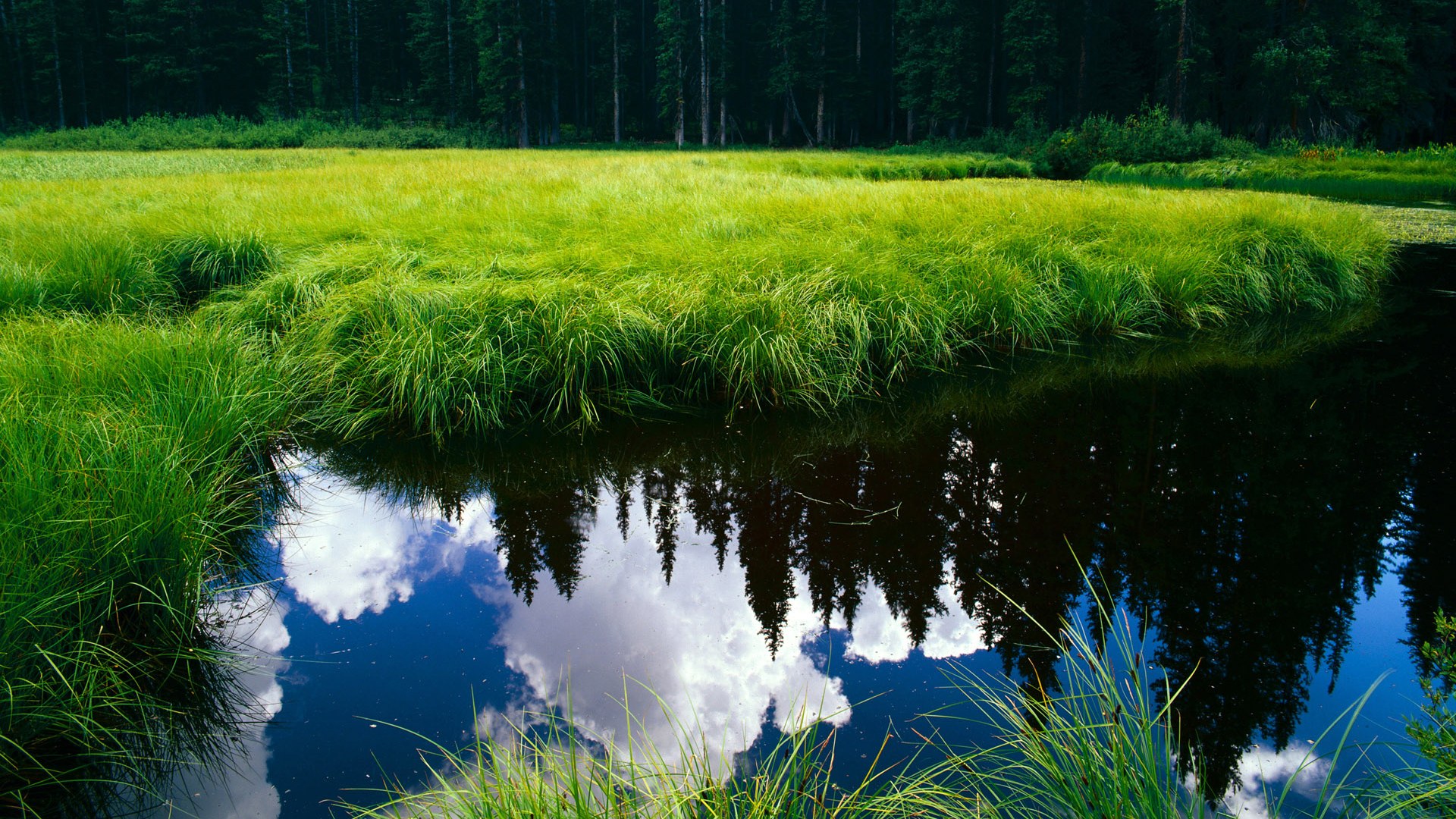 开云网址-中国男篮主帅公布新阵容，年轻球员获重用，中国男篮主力球员